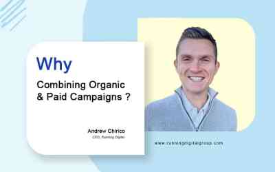 Why Smart Brands Combine Organic vs Paid Campaigns