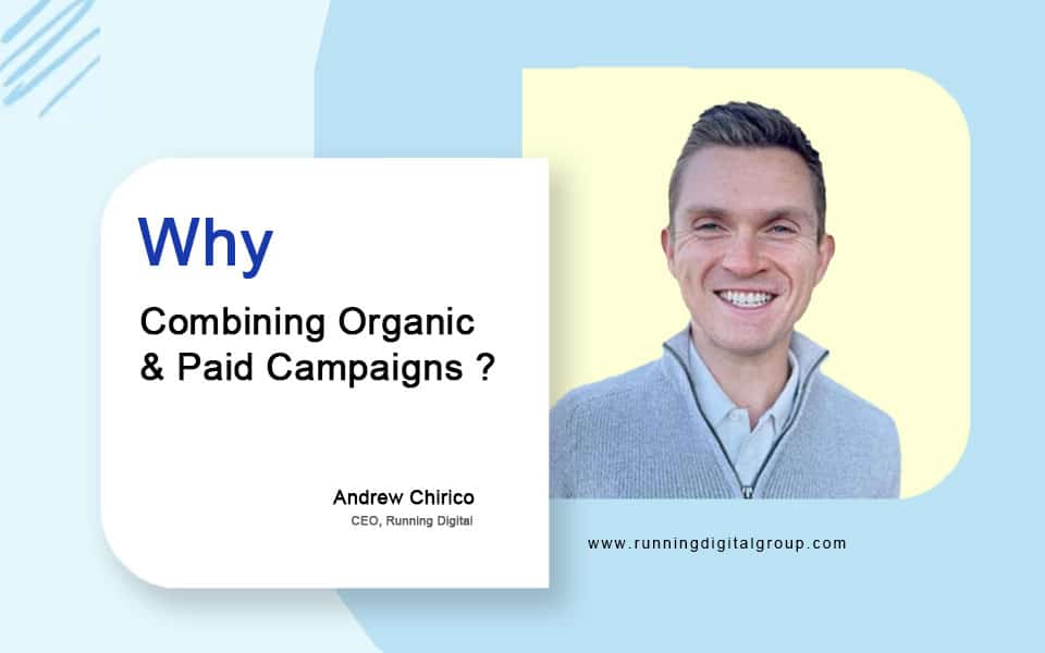 Organic vs Paid Campaigns